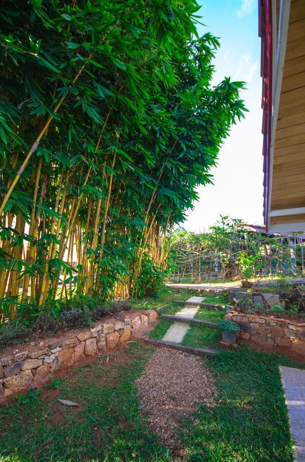Summit View Bed & Breakfast แคนดี้ ภายนอก รูปภาพ
