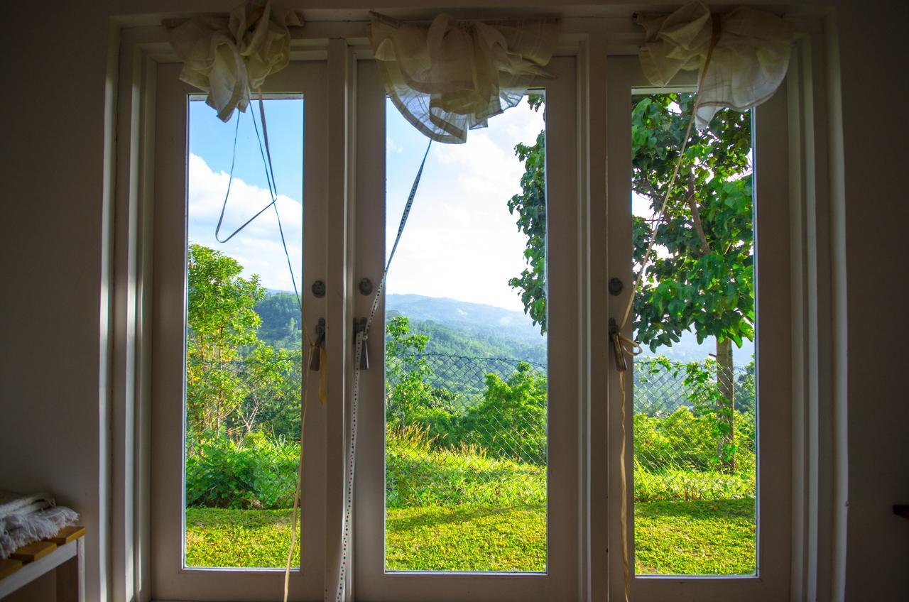 Summit View Bed & Breakfast แคนดี้ ภายนอก รูปภาพ