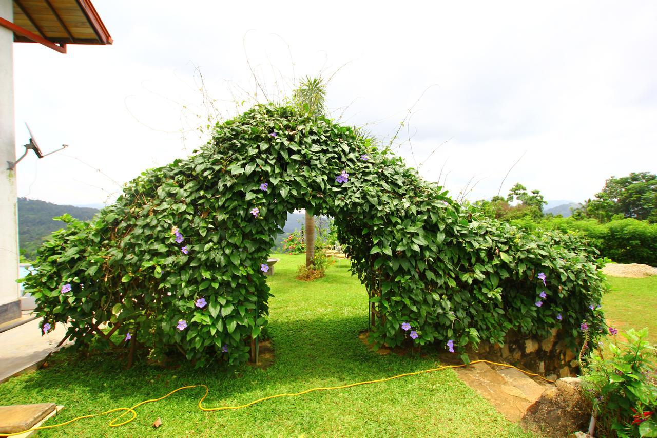 Summit View Bed & Breakfast แคนดี้ ภายนอก รูปภาพ